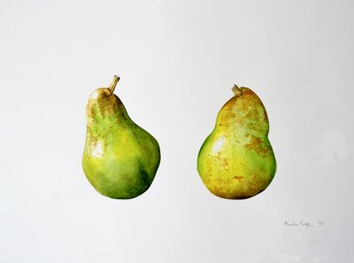 A Pair of Pears by Alison Cooper